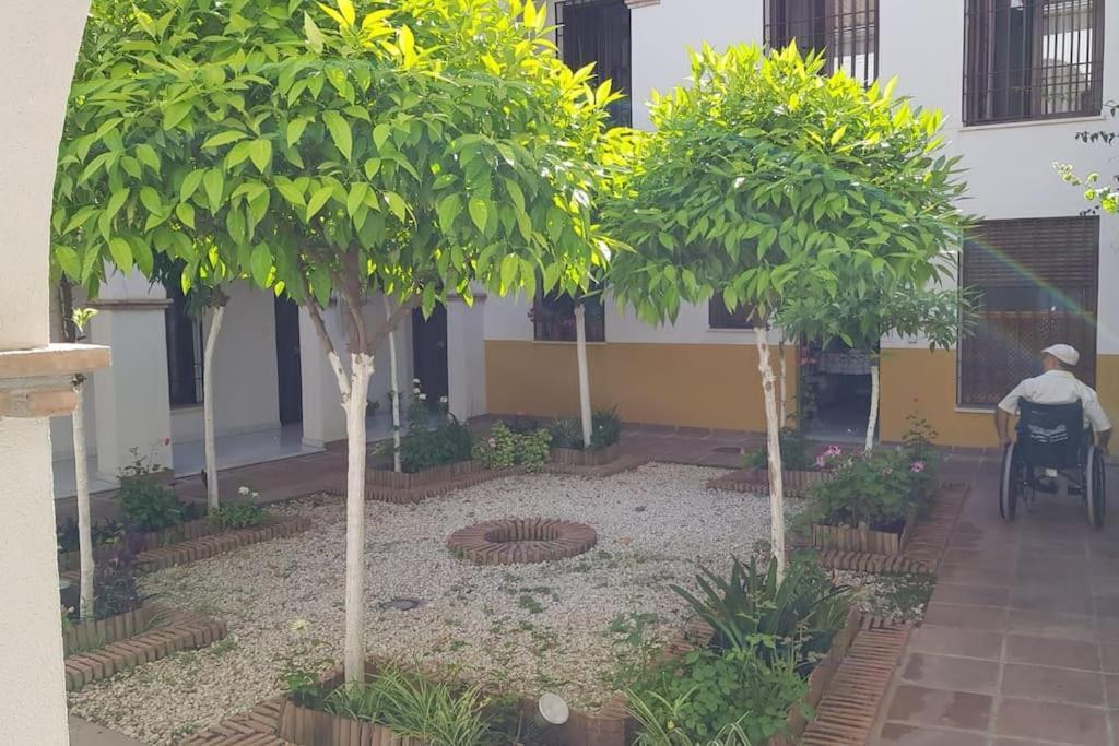Precioso Apartamento Junto A Plaza La Corredera Córdoba Exterior foto